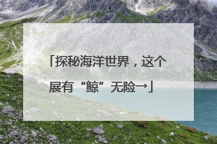 探秘海洋世界，这个展有“鲸”无险→