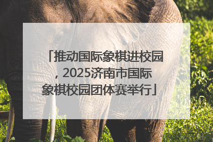 推动国际象棋进校园，2025济南市国际象棋校园团体赛举行