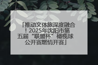 推动文体旅深度融合！2025年沈阳市第五届“联盟杯”橄榄球公开赛燃情开赛