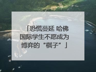 恐慌蔓延 哈佛国际学生不愿成为博弈的“棋子”