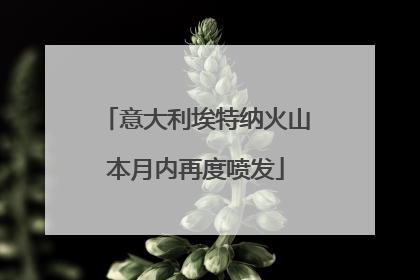 意大利埃特纳火山本月内再度喷发