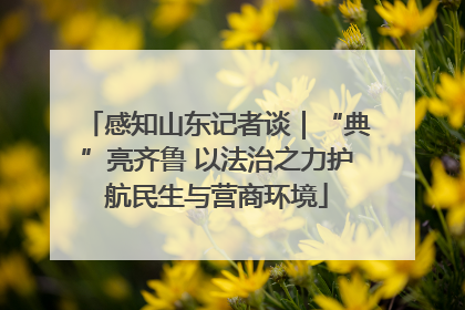 感知山东记者谈｜“典”亮齐鲁 以法治之力护航民生与营商环境