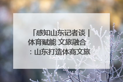 感知山东记者谈｜体育赋能 文旅融合：山东打造体商文旅融合发展新格局