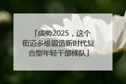 成势2025，这个街道多维锻造新时代复合型年轻干部梯队
