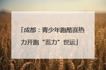 成都：青少年跑酷赛热力开跑“蓄力”世运