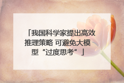 我国科学家提出高效推理策略 可避免大模型“过度思考”