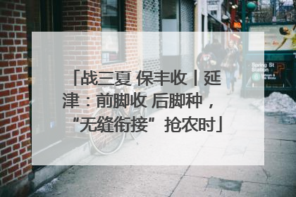 战三夏 保丰收丨延津：前脚收 后脚种，“无缝衔接”抢农时