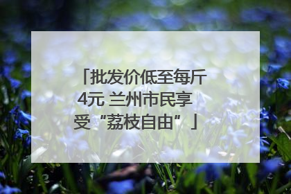 批发价低至每斤4元 兰州市民享受“荔枝自由”