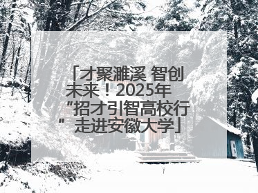 才聚濉溪 智创未来！2025年“招才引智高校行”走进安徽大学