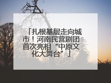 扎根基层走向城市！河南民营剧团首次亮相“中原文化大舞台”