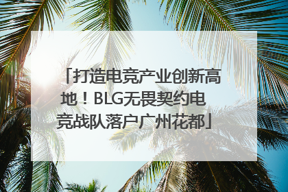 打造电竞产业创新高地！BLG无畏契约电竞战队落户广州花都