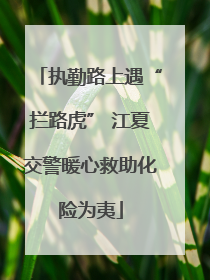 执勤路上遇“拦路虎” 江夏交警暖心救助化险为夷