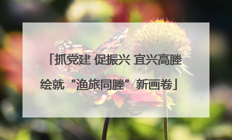 抓党建 促振兴 宜兴高塍绘就“渔旅同塍”新画卷