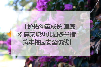 护佑幼苗成长 宜宾翠屏菜坝幼儿园多举措筑牢校园安全防线