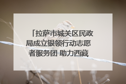 拉萨市城关区民政局成立银领行动志愿者服务团 助力西藏银发经济发展