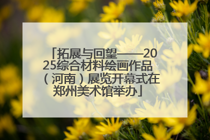 拓展与回望——2025综合材料绘画作品（河南）展览开幕式在郑州美术馆举办