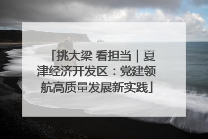 挑大梁 看担当｜夏津经济开发区：党建领航高质量发展新实践
