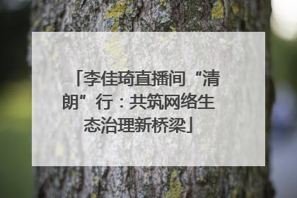 李佳琦直播间“清朗”行：共筑网络生态治理新桥梁