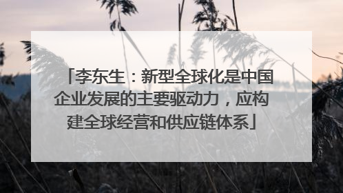 李东生：新型全球化是中国企业发展的主要驱动力，应构建全球经营和供应链体系