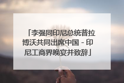 李强同印尼总统普拉博沃共同出席中国－印尼工商界晚宴并致辞