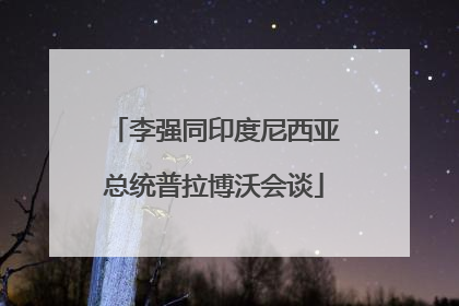 李强同印度尼西亚总统普拉博沃会谈