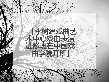 李树建戏曲艺术中心戏曲表演进修班在中国戏曲学院开班