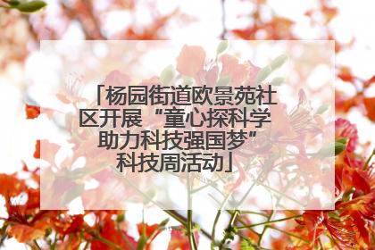 杨园街道欧景苑社区开展“童心探科学 助力科技强国梦”科技周活动