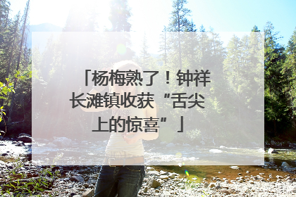 杨梅熟了！钟祥长滩镇收获“舌尖上的惊喜”