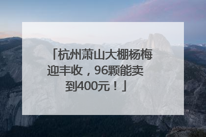 杭州萧山大棚杨梅迎丰收，96颗能卖到400元！