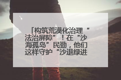 构筑荒漠化治理“法治屏障”！在“沙海孤岛”民勤，他们这样守护“沙退绿进”的生态奇迹