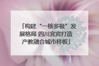 构建“一核多极”发展格局 四川宜宾打造产教融合城市样板