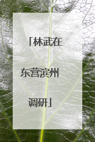 林武在东营滨州调研
