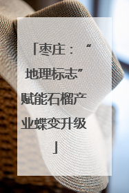 枣庄：“地理标志”赋能石榴产业蝶变升级