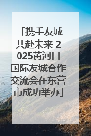 携手友城 共赴未来 2025黄河口国际友城合作交流会在东营市成功举办