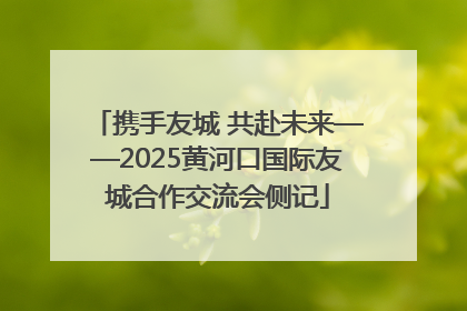 携手友城 共赴未来——2025黄河口国际友城合作交流会侧记