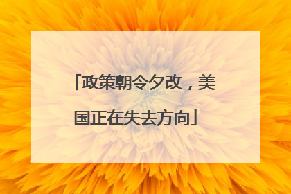 政策朝令夕改，美国正在失去方向