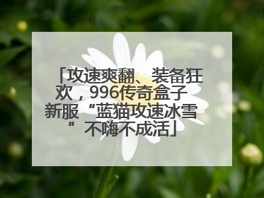 攻速爽翻、装备狂欢，996传奇盒子新服“蓝猫攻速冰雪”不嗨不成活