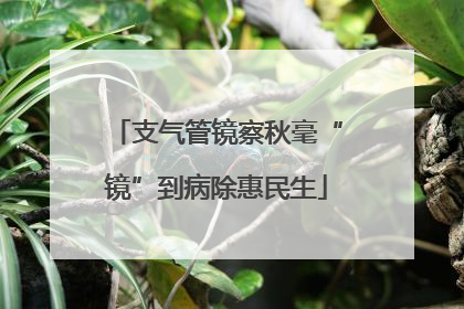 支气管镜察秋毫“镜”到病除惠民生