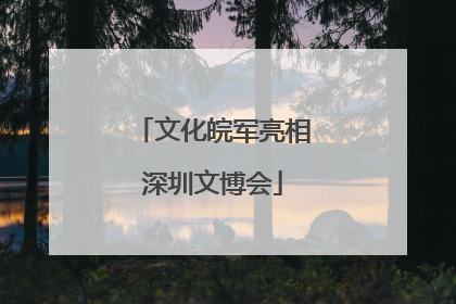 文化皖军亮相深圳文博会