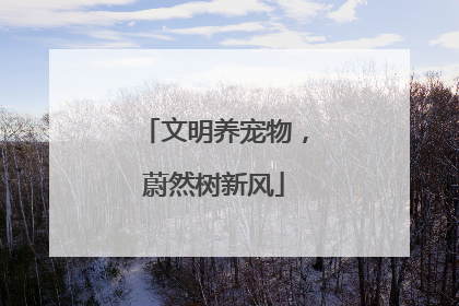 文明养宠物，蔚然树新风