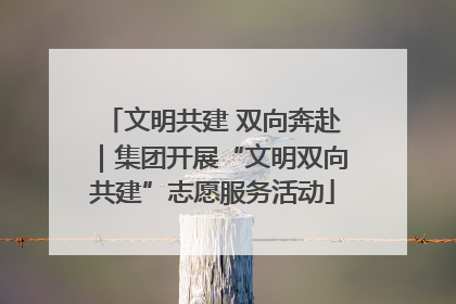 文明共建 双向奔赴｜集团开展“文明双向共建”志愿服务活动