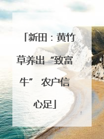 新田：黄竹草养出“致富牛” 农户信心足
