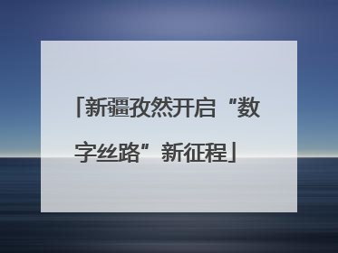 新疆孜然开启“数字丝路”新征程