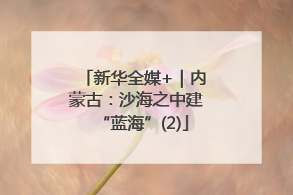 新华全媒+｜内蒙古：沙海之中建“蓝海”(2)