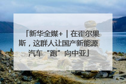 新华全媒+｜在霍尔果斯，这群人让国产新能源汽车“跑”向中亚