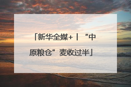 新华全媒+丨“中原粮仓”麦收过半