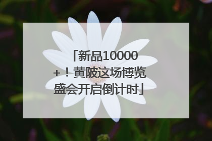 新品10000+！黄陂这场博览盛会开启倒计时