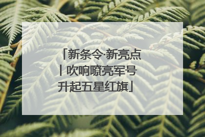 新条令·新亮点丨吹响嘹亮军号 升起五星红旗