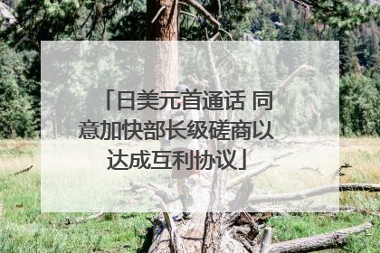 日美元首通话 同意加快部长级磋商以达成互利协议