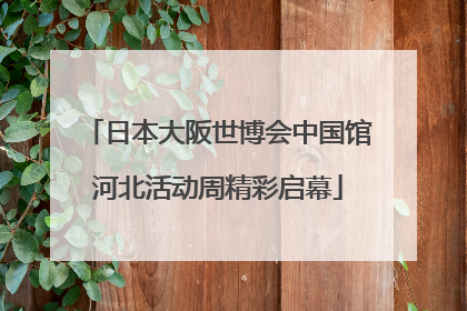 日本大阪世博会中国馆河北活动周精彩启幕